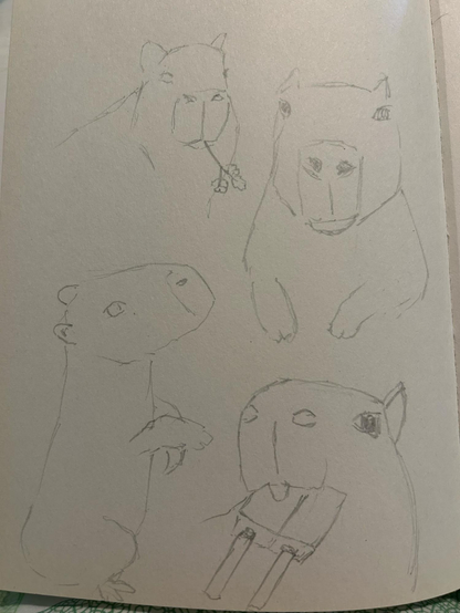 Sketches of capybaras 