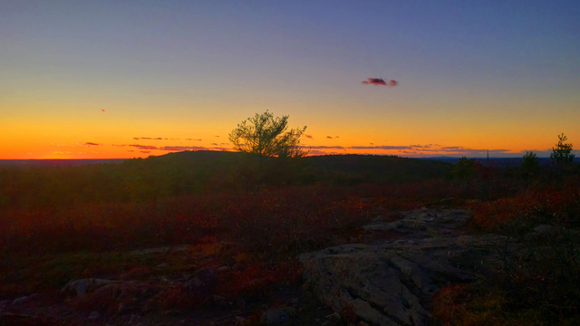 A lone bare tree rises above the horizon as dusk sets in on Buck Hill.