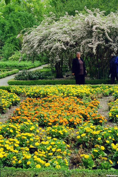 Madrid – Real Jardín Botánico