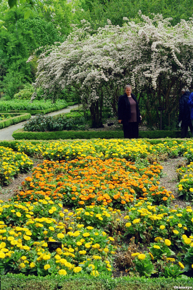 Madrid – Real Jardín Botánico