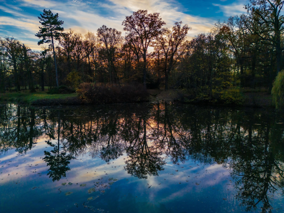 A serene lakeside scene at sunset, featuring trees along the shore and their reflections in the calm water. The sky is painted with soft colors as the sun sets behind the trees.

Spokojna scena nad jeziorem o zachodzie słońca, z drzewami wzdłuż brzegu i ich odbiciami w spokojnej wodzie. Niebo jest pomalowane delikatnymi kolorami, gdy słońce zachodzi za drzewami.