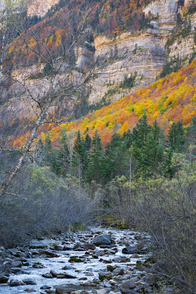 Fotografía de un paisaje montañoso en otoño. En el tercio inferior un río fluye entre rocas, en ambas orillas marañas de ramas delimitan las orillas. Sobre esto una franja verde formada por abetos da comienzo al bosque que sube por la ladera de la montaña, de vivos colores naranjas, marrones, rojos, magentas, amarillos y verdes, sobre este una pared de piedra con franjas de estratos y manchas de vegetacion dispersa, sobre la pared otra franja de bosque mas lejana. En el lado derecho un árbol pelado entra en el cuadro en diagonal, subiendo cortando el cuadro desde el tercio inferior hasta el centro superior.