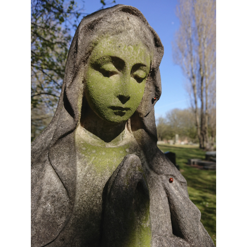 Algae and lichen covered statue of the Virgin Mary praying in sunshine with a pair of ladybirds waling upon her