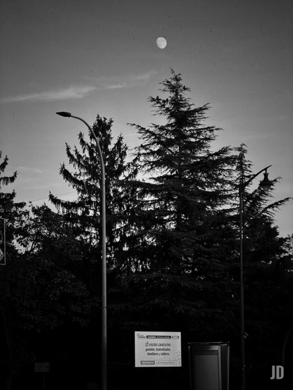 Imagen en blanco y negro de una escena nocturna o al atardecer con un contraste dramático. En la parte superior, una luna casi llena brilla en un cielo parcialmente nublado. Grandes y oscuros pinos dominan el centro y la parte inferior de la composición, con algunas aves posadas en las ramas del árbol más alto a la derecha. Dos farolas, una a la izquierda con un poste curvo y otra a la derecha, se erigen entre la densa vegetación. En la parte inferior central, un cartel rectangular blanco anuncia "VISITAS GRATUITAS guiadas, teatralizadas, familiares y talleres" junto a un contenedor oscuro.