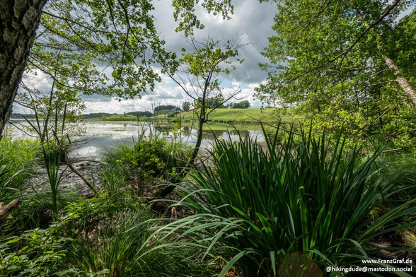 A tranquil scene unfolds beneath a vast, partly cloudy sky, where soft light filters through the fresh green canopy of trees. The foreground is alive with lush, vibrant foliage—tall grasses and reeds sway gently, framing a serene, shallow body of water that reflects the surrounding greenery. Beyond the water, rolling meadows stretch out, dotted with distant trees and the faint outline of a structure, perhaps a farmhouse or barn, adding a touch of rustic charm.

The atmosphere is peaceful, inviting a moment of stillness to soak in the natural beauty. The interplay of light and shadow creates a dynamic yet calming effect, perfect for a quiet hike or a reflective pause along a scenic trail. The landscape feels untouched, a gentle reminder of nature’s quiet elegance.