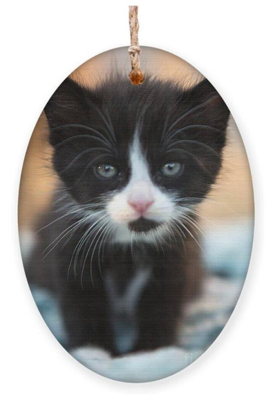 Black and white kitten ornament