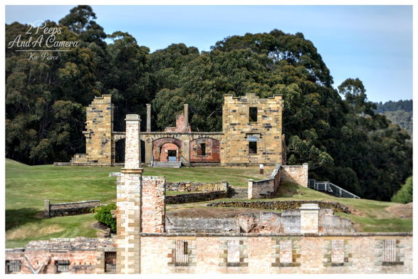 A wide angle view of the weathered, yellowish brown sandstone and brick ruins of the Port Arthur Penitentiary in Tasmania.

The main crumbling structure stands on a grassy slope backed by a dense forest of dark green eucalyptus trees under a partially cloudy blue sky.

In the foreground, lower stone walls and brick foundations create layers of ruin, leading up to the two story remains of the central building.