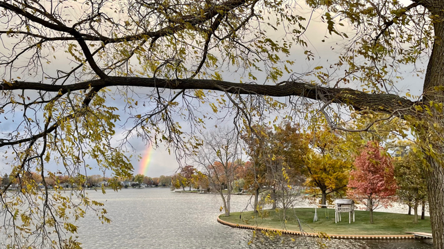 Photograph of the bottom of a rainbow on the horizon, passed a gray lake with trees and fall colors in the background, and in the foreground and branches above.