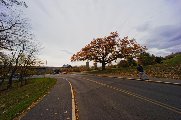 A road rises up to the bottom and twists in the center to exit to the lft, on the ride side a hue oak has yellow spreading leaves