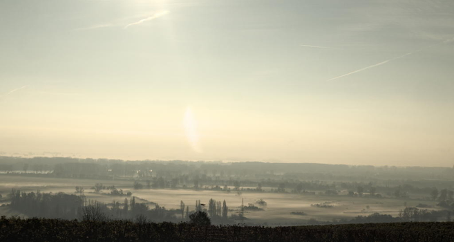 Das Laubenheimer Ried liegt im Morgennebel.