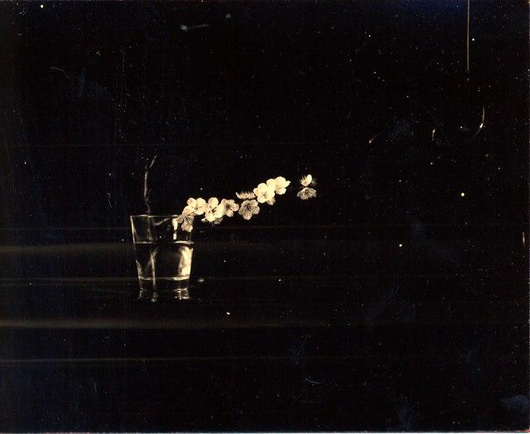The image is a small-format, black and white fine art photograph featuring a simple still life: a few small, delicate white flowers on a stem are placed in a clear drinking glass filled with water against a black background.