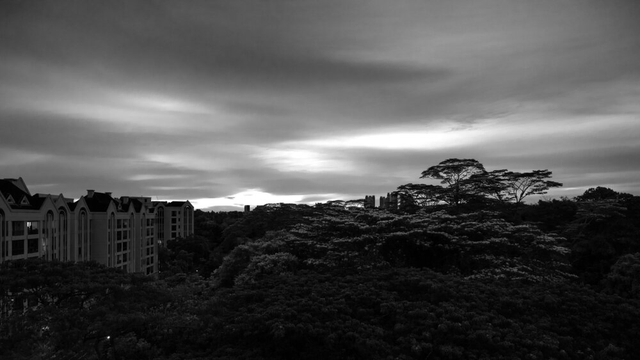 Sunset in Bukit Timah, Singapore.