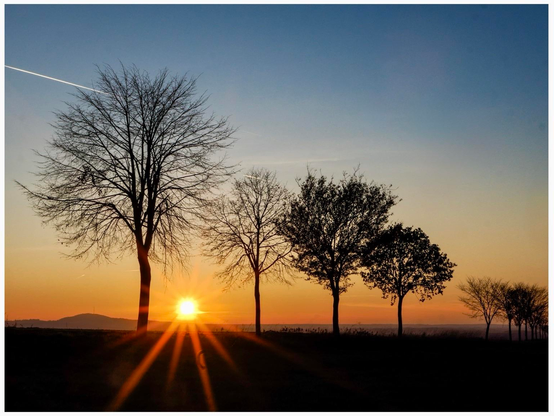 Silhouette of trees against a sunset, with the sun rising on the horizon. The sky features a gradient of colors, transitioning from orange to blue.