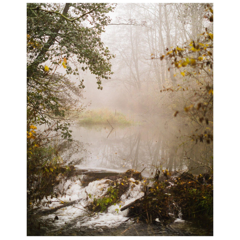 Ein kleiner von Bäumen gesäumter Bachlauf.