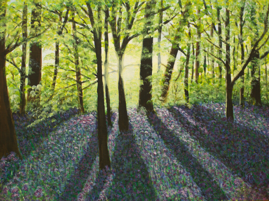 Acrylic painting of bluebells in beech woodland by Emma Cox. 