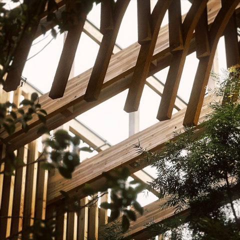 Leaves from fake potted interior trees frame perpendicular wooden support beams intersecting below a glass skylight in the sunlit distance.