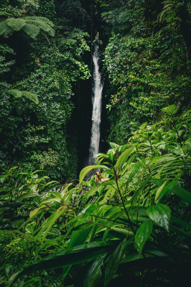 The cascading water feature presents a captivating spectacle during inclement weather.
