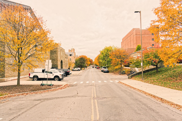 Looking down a road with lots of cars parked on the side but also some large builings on the left and right side as well as numerous yellow and green trees
