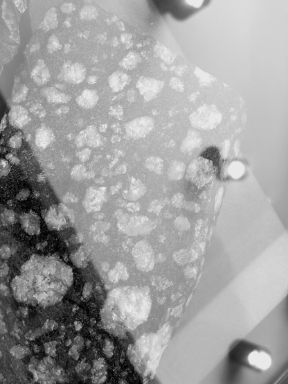 A grayscale, close-up photograph of a textured rock sample, with a mottled surface of light and dark patches. 
The rock has irregular, rounded forms. Light sources illuminate the photo, casting soft highlights that emphasize the rock's surface texture. 
The lighting from an angled reflection on the museum display's glass case is cast from above.