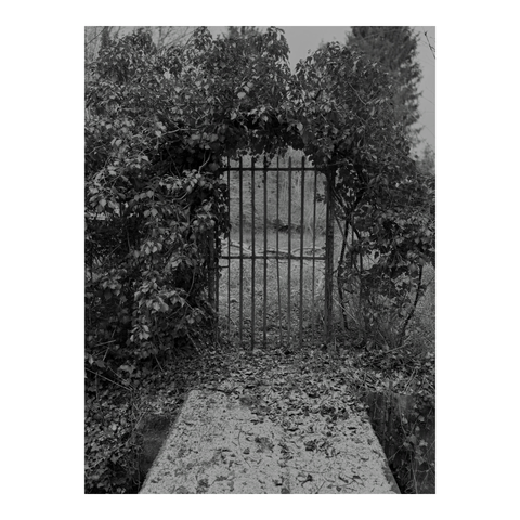 A rusty iron gate, surmounted by an arch of wild foliage, opens onto an overgrown garden. (Version françæ) Portail en fer rouillæ surmontæ d’æn arche de feuillage anarchique, ouvrant sur æn jardin en friche.