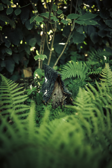 A tiny tiny wood house in nature