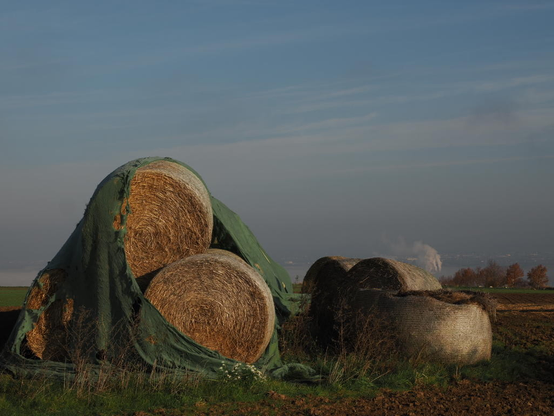 Drei große Heurollen liegen im Dreieck aufeinander und sind teilweise mit einer grünen Plane abgedeckt. Daneben liegen etwas weiter weg weitere Heurollen. Im Hintergrund sieht man rechst den weißen Rauch von Fabrikschornsteinen.