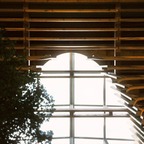 Tree leaves and parallel wooden support beams frame a portion of an elliptical skylight from the ceiling directly above.