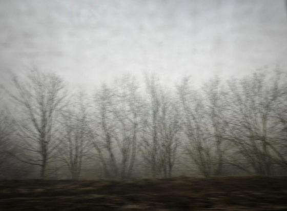 A motion blurred photo taken though a dirty window showing leafless trees standing in a row against a gray, foggy sky, and the ground appearing dark in the foreground.