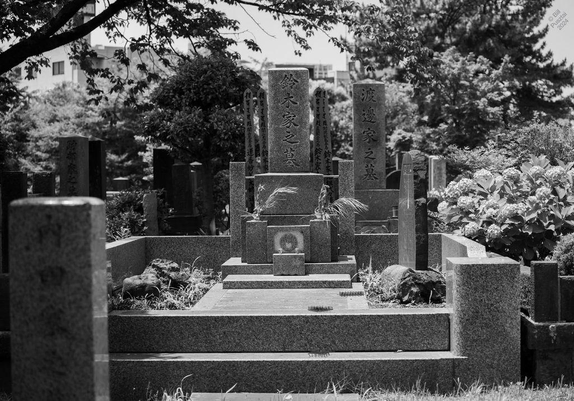 A black and white photo of a group of standing stones and finished granite enclosures with well-tended tiny gardens and vases of flowers. 
The central stone is inscribed 鈴木家之墓. My respects to the people buried here and their families.