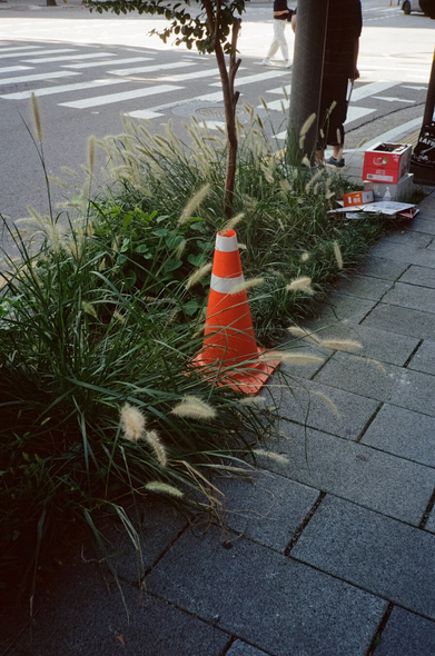 도보 옆 무성하게 나있는 풀숲 옆에 빨간 러버콘 하나가 놓여있다.