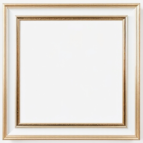 IMAGE: Nested picture frames of a blank white canvas, hung on a white wall.  #satire Title: "White Elephants in a Snow Storm"