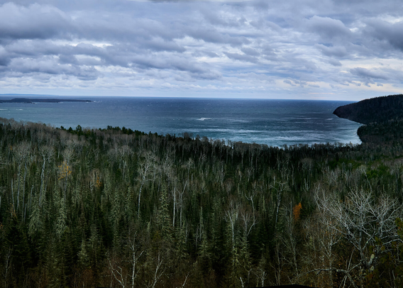 A wide view shows a dense forest of leafless trees stretching towards a large lake under a cloudy sky. The water is a deep blue, with gentle waves. The clouds are thick and gray, hinting at an overcast day