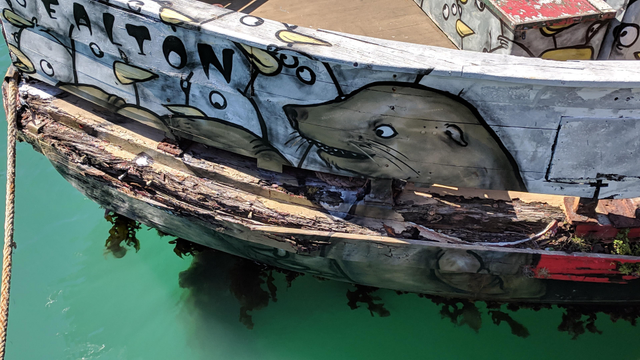 Close-up of the decaying boat, Sealion, in bright turquoise harbour water. The boat is painted with street art featuring a surprised-looking sea lion on the side, surrounded by cartoon penguins.