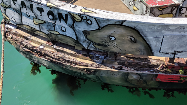 Close-up of the decaying boat, Sealion, in bright turquoise harbour water. The boat is painted with street art featuring a surprised-looking sea lion on the side, surrounded by cartoon penguins.