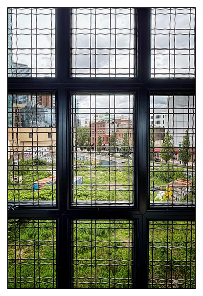 View of an abandoned lot overgrown with plants in a neighborhood in Queens, NYC, as seen through an upper-level window in an elevated subway station. The window is a metal grid that divides the image into nine rectangular panels, each crisscrossed by its own grid of thin metal wires. Below is the green overgrown lot, with graffiti-covered bins here and there. Further off is a street lined with a mix of low-rise older buildings and taller glass towers under an overcast sky.