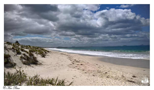 A wide angle landscape photograph of a pristine, white sand beach under a dramatic, cloudy blue sky.

On the left, tall sand dunes covered in sparse coastal grasses lead up to a small, dark pine tree.

The wide stretch of beach curves into the distance, meeting the turquoise water of the ocean, which has gentle waves rolling in.