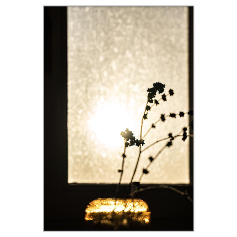 There are some flowering branches in a vase in front of the window, and the morning sunlight is shining through the window. The picture was taken in backlight.