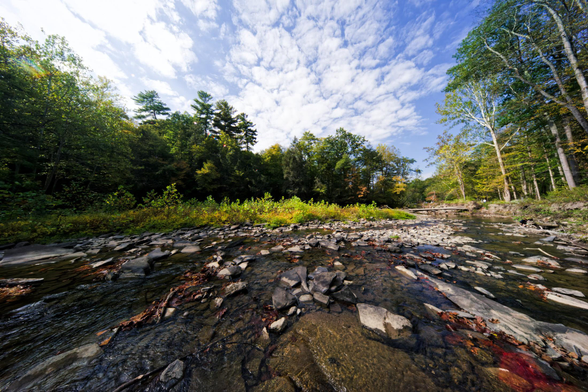 Wide angle view from the middle of a creek with water mostly covering rocks in the near field, a bar of vegetation in the center,  and trees to the rear and the right with high altitude white clouds