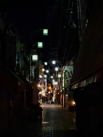 A hidden alley in Osaka