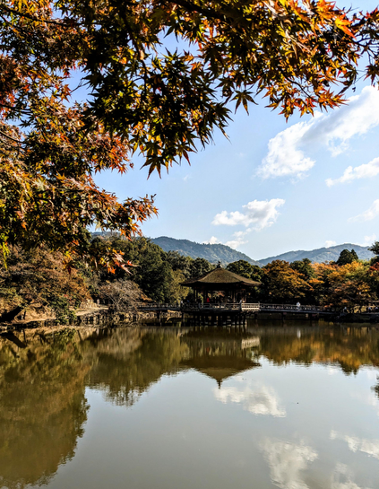 A peaceful day in beautiful Nara