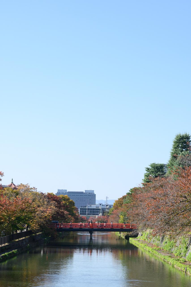 琵琶湖疏水と神宮道に架かる慶流橋。/ 2025.11.08 岡崎通・広道橋から