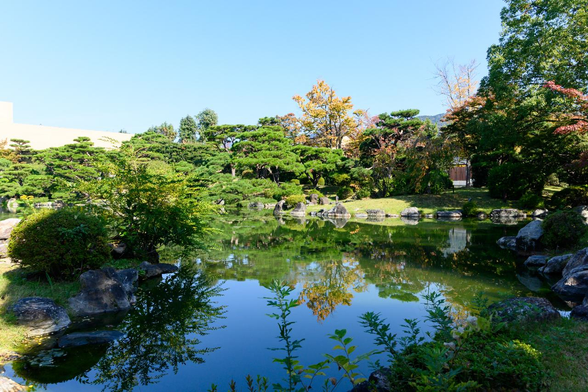 京セラ美術館の岡崎通側にある日本庭園に広がる池。/ 2025.11.08 京都市京セラ美術館 (京都市美術館)から
