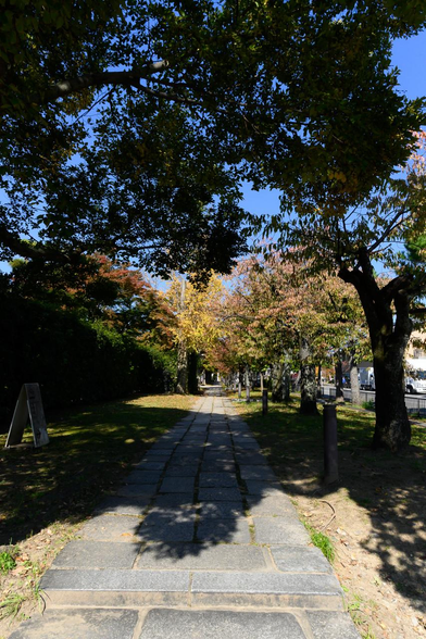 京セラ美術館の日本庭園と岡崎通の間を通る遊歩道。/ 2025.11.08 京都市京セラ美術館 (京都市美術館)から