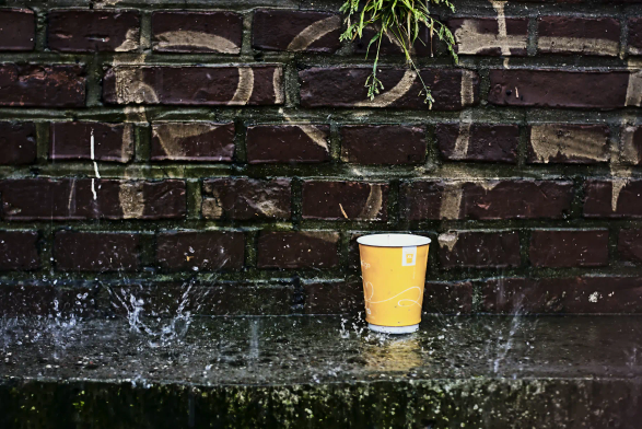 Auf einem Betanabsatz vor einer Mauer aus roten Backsteinen steht ein gelber Kaffeebecher. Die Mauer ist mit Graffitti (RSF) beschmiert und nass vom Regen, der schwer auf den Betonabsatz fällt und im Becher wenigstens zu einem kleinen Teil aufgefangen wird. 