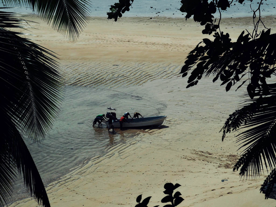 Retour de pêche; au travers des végétaux, on voit 6 hommes qui tirent un bateau sur la plage. Une prise de pêche flotte non loin d’eux.