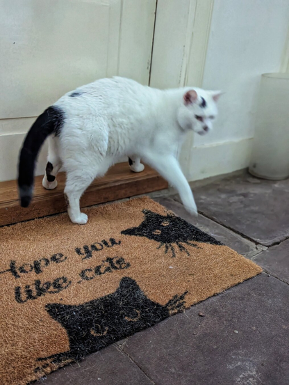 A slightly blurred image of a white cat with black patches on its head and tail standing on a coir doormat in front of a light-coloured door. The doormat features the heads of two black cats and the phrase ‘Hope you like cats’ written in bold, black letters. The cat appears to be stepping onto the mat, with its front paws on the mat and its tail raised. The background includes a wooden step and a tiled floor.