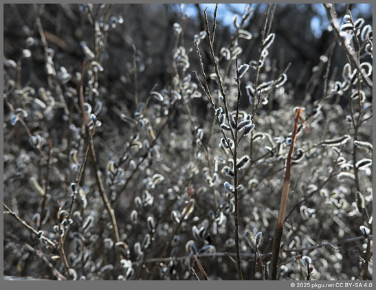 Seonamsa, Suncheon, Jeollanam-do, Korea.