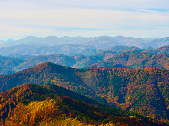 View from the hocheck over the autumnal alps and the wienerwald, lower austria