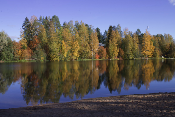Landscape of a lake with trees in the background.
