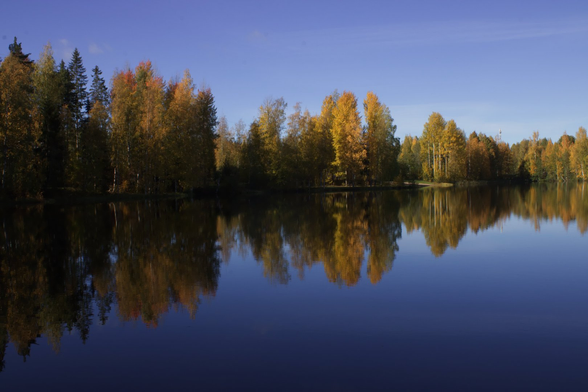 Landscape of a lake with trees in the background.